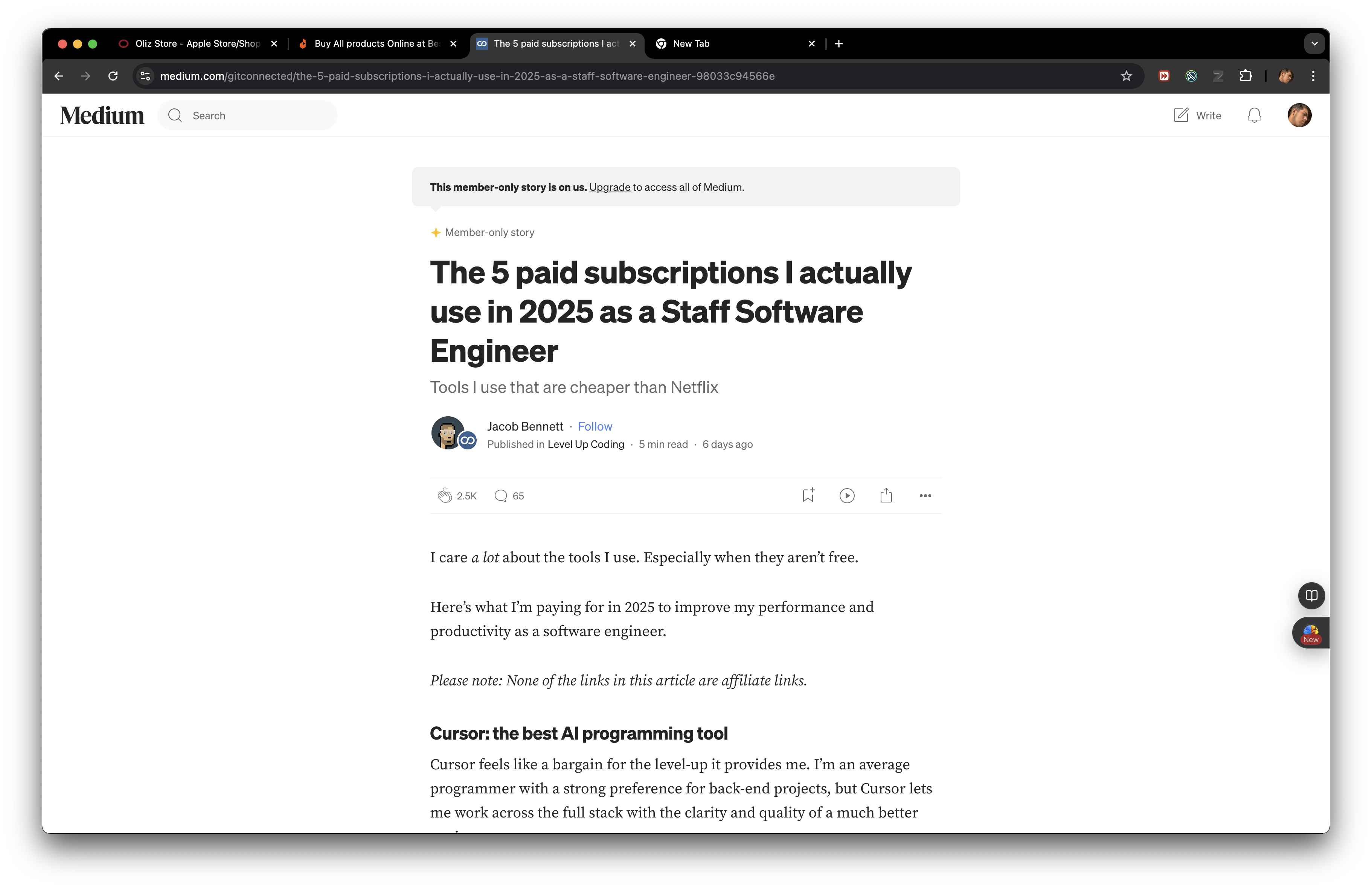 Medium Detaile Blog Page Screenshot